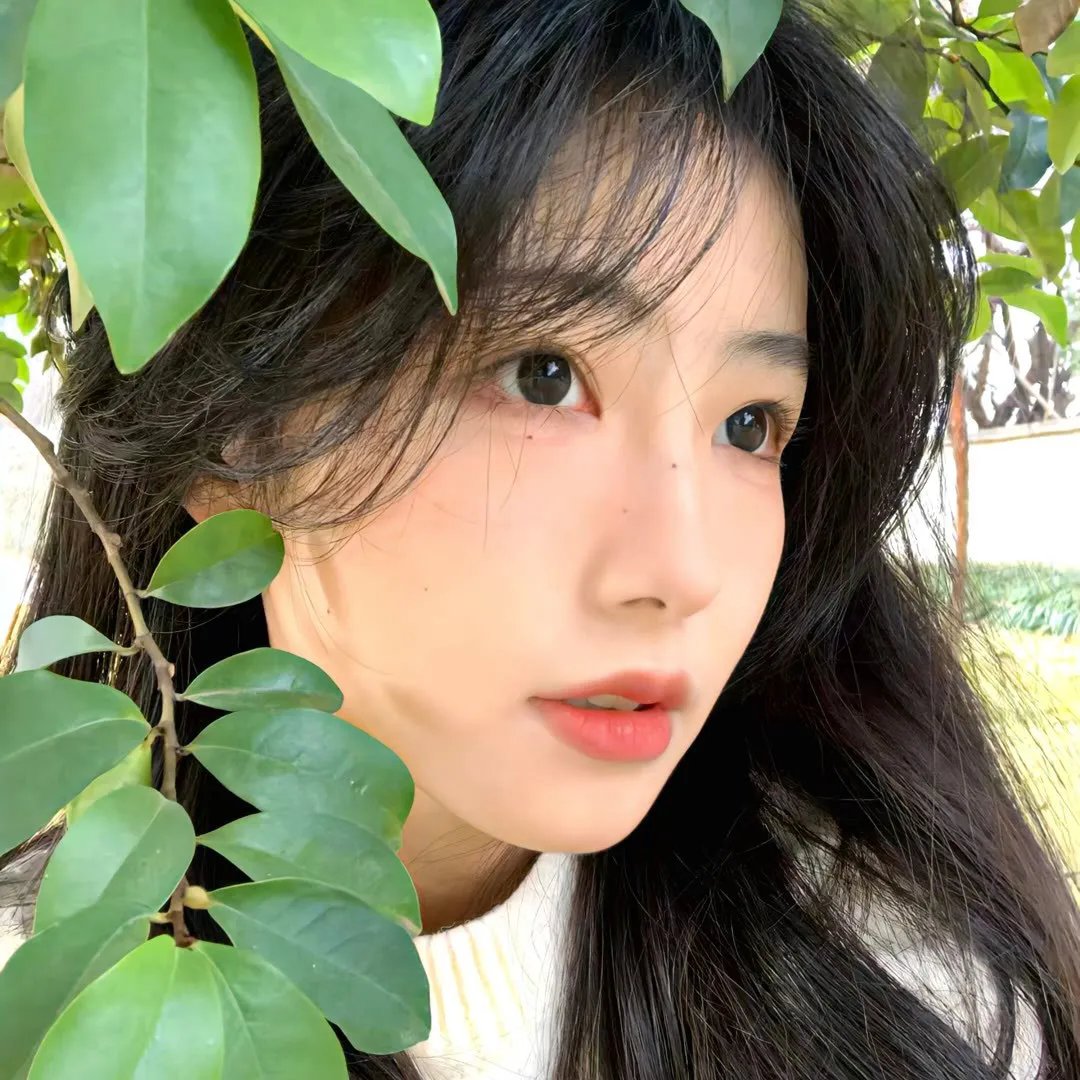 猫王（迷你剧）