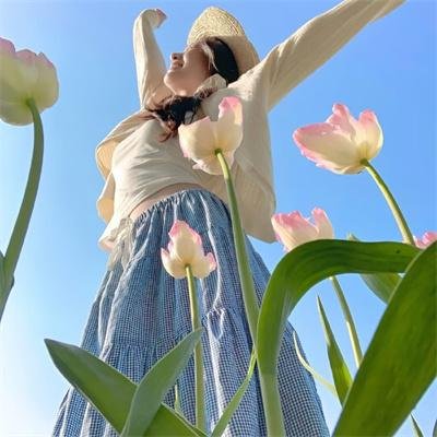 绝命法官国语