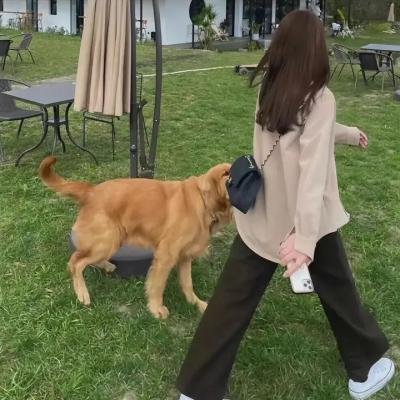 看见味道的你